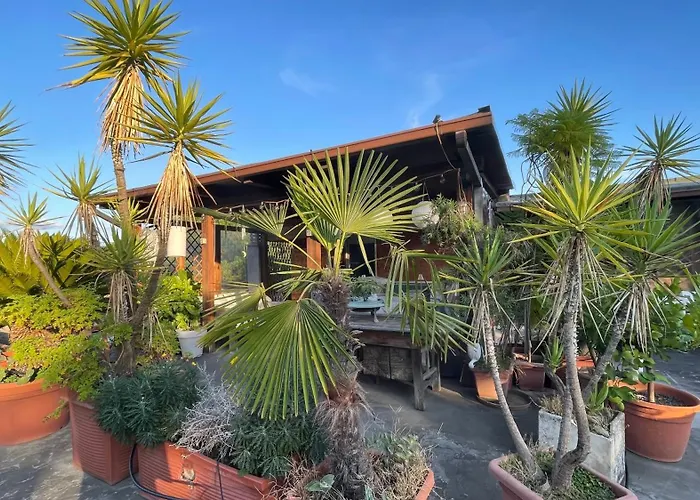 Mansarda Monolocale In Roof Garden Apartment